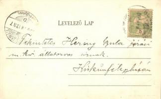 Dunavecse, Zsófia gőzös megérkezése a hajóállomásra. Özv. Kohn Józsefné kiadása