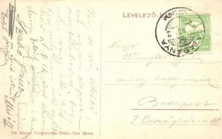 Tatabánya, Brikettgyár