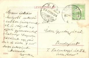 Ada-Kaleh, Török csarnok, bazárok. Mamuth Hassen kiadása 431. / Turkish hall, bazaars, Art Nouveau (...