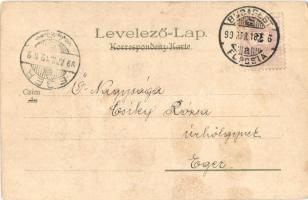 1899 Kolozsvár, Cluj; Látkép / general view, litho s: Geiger R. (kis szakadás / small tear)