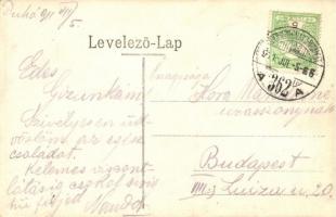 Medne, Medné (Lednicróna); látkép a Mednyánszky kastéllyal. Reismann M. J. kiadása / panorama view w...