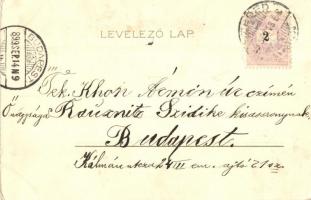 1899 Szeged, Városháza, Kunstanstalt 'Kosmos' litho s: Geiger R