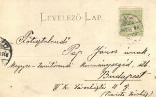 1905 Léva, Levice; uradalom szántógépe / plow machine in the manor, photo