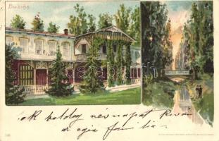 1899 Buziásfürdő, Buzias; Villa / villa, Kunstanstalt Kosmos No. 146. litho (EK)