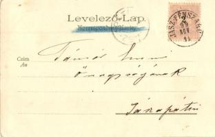 1899 Buziásfürdő, Buzias; Villa / villa, Kunstanstalt 'Kosmos' No. 146. litho (EK)