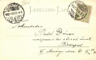 Nagykikinda, Kikinda; Ferenc József tér piaccal, Max M. Kraus üzlete / square, market, shops (EB)