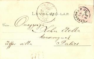 1898 Palicsfürdő, Palic; Víg Zsigmond Sándor floral, Art Nouveau litho