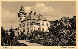 8 db RÉGI kárpátaljai városképes lap, főleg megíratlan / 8 pre-1945 Transcarpatian town-view postcar...