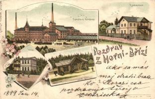 1899 Horní Bríza; Samotova tovarna, Restaurace, Villa, Lesni pavilon / Fireclay factory, restaurant, Villa, forest pavilion. Art Nouveau litho (tiny tear)