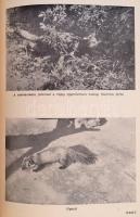 Szederjei Ákos: Vadcsapáson. Bp., 1961, Mezőgazdasági Kiadó. Papírkötésben, jó állapotban. / Paperba...