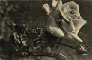 38 db MODERN fekete-fehér virágos motívumlap, néhány másodpéldánnyal / 38 MODERN black and white flo...