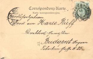 Przemysl, Alexander Dworskigasse. Verlag von M. G. Rosenfeld / street view