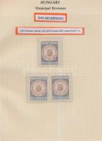 Gary Ryan magyar városi okmánybélyeg gyűjteménye, kb 2.000 különféle városi okmánybélyeg 7 albumban,...