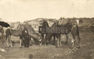1926 Ankara, Angara; camels with the chief of the caravan, photo
