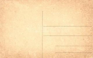 Királyunk beszélget legidősebb pilótánkkal, Bier Henrik tart. főhadnagy, a Magyar Lloyd Repülőgyár j...