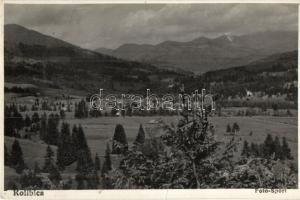 Kolibica, Colibita; látkép, Foto-Sport / general view (fa)