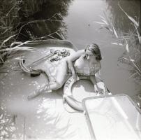 1986 Pákozd, Agárd hajó a nádasban pucér matrózlánnyal, 11 db szolidan erotikus felvétel vintage neg...