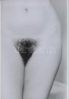 cca 1973 Csak bátran! szolidan erotikus fotók, 3 db korabeli negatívról készült mai nagyítás, 25x18 ...