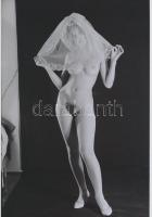 cca 1974 A nászéjszaka előtti utolsó felvételek, szolidan erotikus fotók, 3 db korabeli negatívról k...