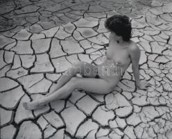 cca 1976 Vízparti lányok, szolidan erotikus fotók, 3 db korabeli negatívról készült mai nagyítás, 18...