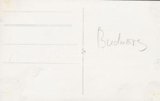 cca 1930 Budaörsi repülőtér, vitorlázó repülős fotó, hátoldalán feliratozva, 8×13 cm