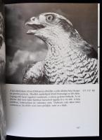 Tildy Zoltán: Madárszárnyakon. Budapest, 1984, Gondolat. Sérült kartonált papírkötésben, egyébként j...