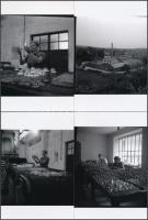 cca 1953 Parádi üveggyár, Kotnyek Antal (1921-1990) fotóriportja, 11 db vintage negatív (6x6 cm) és az ezekről  készült 11 db mai nagyítás 10x15 cm-es fotópapírra