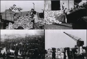 1950 Budapest, Nagybani piac, Kotnyek Antal (1921-1990) fotóriportja, 22 db vintage negatív (24x36 mm) és az ezekről készült 22 db mai nagyítás, 10x15 cm