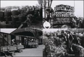 1950 Budapest, Nagybani piac, Kotnyek Antal (1921-1990) fotóriportja, 22 db vintage negatív (24x36 m...