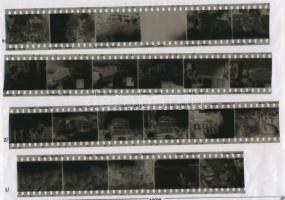 1950 Budapest, Nagybani piac, Kotnyek Antal (1921-1990) fotóriportja, 22 db vintage negatív (24x36 m...