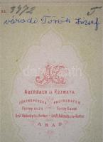 cca 1863 Váradi Török József vizitkártya méretű fényképe Auerbach és Kozmata aradi műterméből, 10,5x...