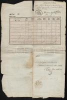 1853 Útlevél Dunaföldváron kiadva 30kr szignettával / Passport