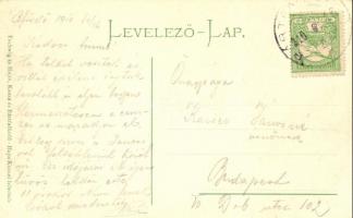 Bártfafürdő, Bardejovské Kúpele, Bardiov; Anna-lak, Dr. Hintz villa. Hajts Kornél felvétele / villas