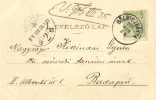 Thurzófüred, Kupele Turzo; Fürdőház. Wlaszlovits G. kiadása / spa