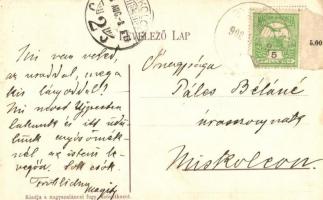 Nagyszalánc, Szalánc, Slanec; Gróf Forgách István vára / castle