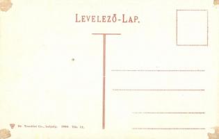 Tátra, Tarpatakfüred, nyaraló / villa (ragasztónyom / gluemark)