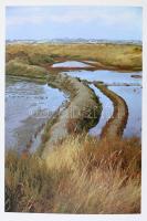 Morin, Paul - Clavel, Bernard: Fleur de sel. Les marais salants de la presqu'île guérandaise. G...