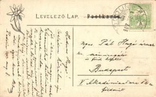 Ruzsbach-fürdő, Kupele Ruzbachy; Felső-Ruzsbach, fürdőház és Mária nyaraló. Feitzinger Ede No. 928. ...