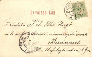 Lednicróna, Lednicz-Rovnye, Lednické Rovne; Üveggyár, Fogyasztási egylet tisztviselő háza. Verlag Co...