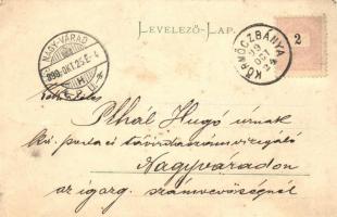 1899 Körmöcbánya, Kremnica; Verlag v. Leop. J. Ritter