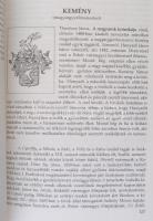 Bánó Attila: Régi magyar családok. Mai sorsok. Bp., 1996, Gemini. Kiadói papírkötés. Jó állapotban