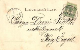 Maroskeresztúr, Cristesti; Z. Knöpfler Elek nyaralója. Holbach Ede kiadása  / villa  (EK)