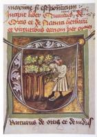 Husa, Václav: Homo faber. Pracovní motivy ve starých vyobrazeních. Prága, 1967, Academia. Vászonköté...
