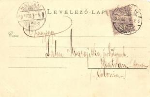 Eger, Új Városháza, Braun Adolf és Lázár Jónás és társai üzlete, gyógyszertár