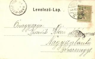 Budapest II. Lipótmező, Hadapródiskola, Intézeti épület és környéke