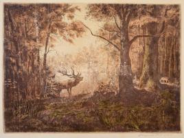 Csergezán Pál (1924-1996): Szarvasbőgés. Színezett rézkarc, papír, jelzett, 26×36  cm
