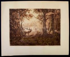 Csergezán Pál (1924-1996): Szarvasbőgés. Színezett rézkarc, papír, jelzett, 26×36  cm