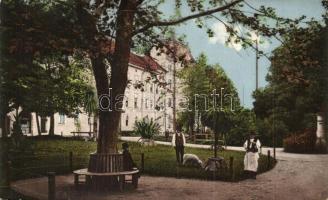 Nagyszeben, Hermannstadt, Sibiu; park és szanatórium / park, sanatorium