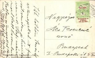 Nagyszeben, Hermannstadt, Sibiu; park és szanatórium / park, sanatorium