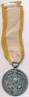 Románia 1913. "Második Balkán-háború Győzelmi Medál" fém kitüntetés másolat mellszalagon, "S" jelzéssel a peremen T:2 Romania 1913. "Second Balkan War Victory Medal" metal medallion copy with ribbon, "S" hallmark on the edge C:XF